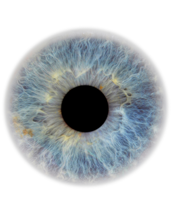 Augen