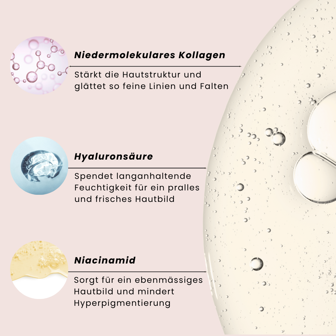 Kollagen - Bundle-Set